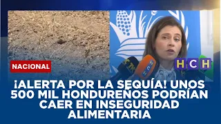 ¡Alerta por la sequía! Unos 500 mil hondureños podrían caer en inseguridad alimentaria