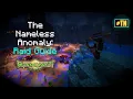 Wynncraft The ULTIMATE Nameless Anomaly Raid Guide