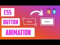 CSS Border Button Animation Tutorial Creative HTML and CSS