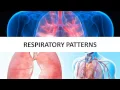 RESPIRATORY BREATHING PATTERNS