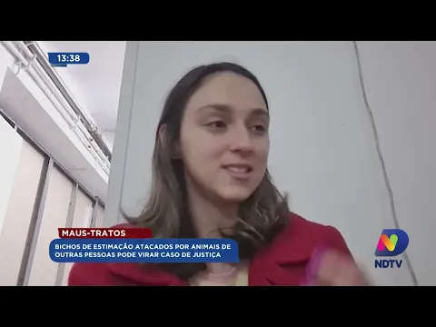 Maus-tratos: bichos de estimação atacados por animais de outras pessoas podem virar caso de justiça