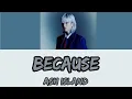 ASH ISLAND - Because Lyrics (Han/Rom/Eng)