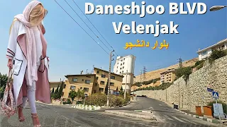                                               بلوار دانشجو در ولنجک تهران دندنها
