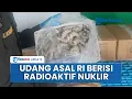 Download Lagu AS Beri Peringatan Udang Asal Indonesia Diduga Mengandung Radioaktif Nuklir Beredar di Swalayan AS