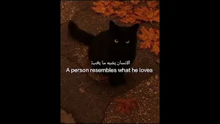 الانسان يشبه ما يحب تصميمي لايك اشتراك Cat Clima Btsarmy ا دعم الحمدلله لايك  الانسان يشبه ما يحب تصميمي لايك اشتراك Cat Clima Btsarmy ا دعم الحمدلله لايك
