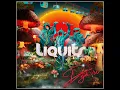 No Lo Sabes - Liquits