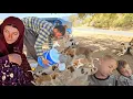 Download Lagu Collecting Firewood, Mountain Barbecue \u0026 Kindness on the Road | A Day in Salahadin’s Family Life 🌲🔥🐾