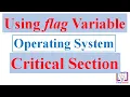 Critical Section Problem Using Flag Variable Operating System