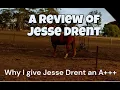 A Review of Jesse Drent By Brumby Horse Life