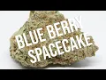 Blueberry Spacecake Review