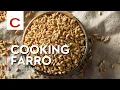 Download Lagu Cooking Farro | Chef Michael Adams | Tips #shorts