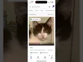 PETFINDER APP - Adopt a pet