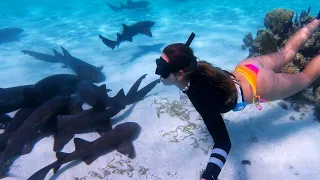 ZERO BOAT LIFE DRAMA | Sunshine & Sharks | E184 | Sailing SV CUBA