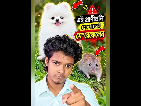 পাঁচটি প্রাণী...