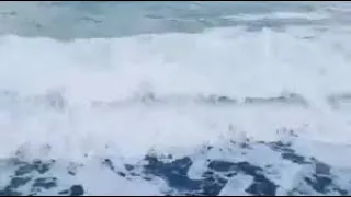 حسن أبو على موال البحر 