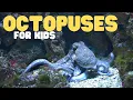 Octopuses for Kids Learn all about these eight-armed brainiacs