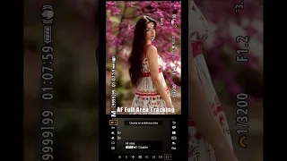 Canon EOS R6 Mark Ii Auto Focus Settings Custom Color Profile For Portraits 