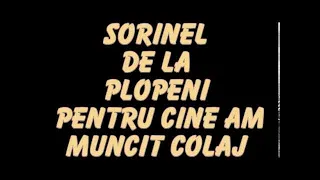 Download SORINEL DE LA PLOPENI    PENTRU CINE AM MUNCIT MP3