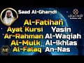 Download Lagu Al Fatihah,Ayat Kursi,Surah Yasin,Ar Rahman,Al Waqiah,Al Mulk,Ikhlas,Falaq,An Nas By Saad Al-Ghamdi