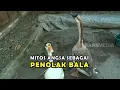 Download Lagu Mitos Angsa Sebagai Penolak Bala | SECRET STORY (05/01/23)