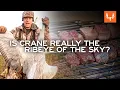 Is Sandhill Crane as Good as Ribeye Steak with Steven Rinella