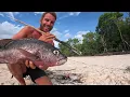 SURVIVAL CHALLENGE: Castaway on Tropical Island