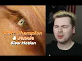 Download Lagu SO CINEMATIC (Matt Champion \u0026 JENNIE - Slow Motion Reaction)