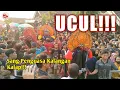 Download Lagu LEPAS DARI KALANGAN!!!RAMPAK SINGO BARONG GALAK MANGGOLO CAHYO MUDO LIVE REMBANG NGADILUWIH KEDIRI