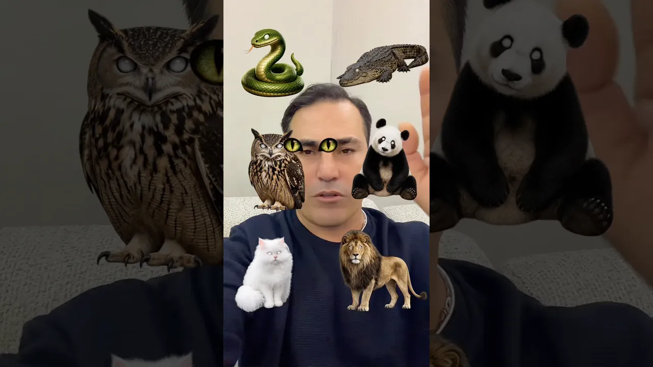Bu oyunu çok sevdim