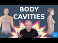 Cavities of the body location and contents