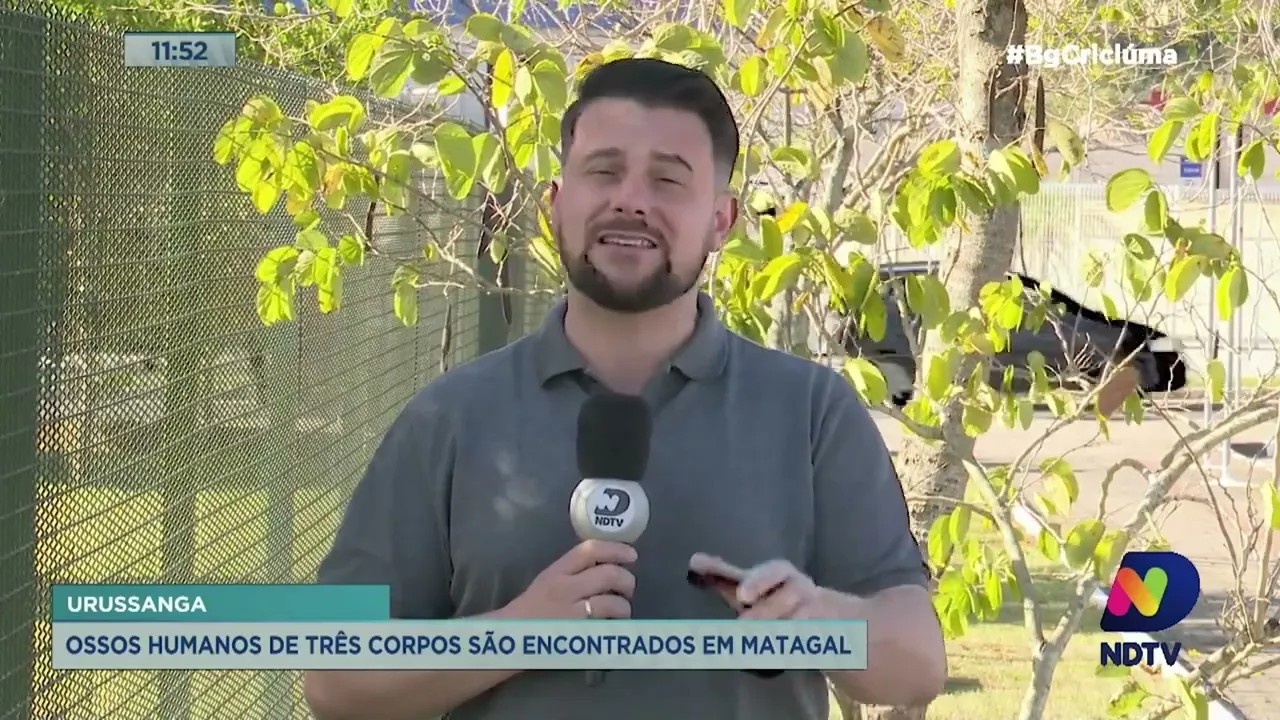 Ossos humanos de três corpos são encontrados em matagal de Urussanga