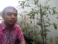 Download Lagu Taburlah kebaikan.