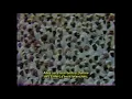 Download Lagu sourate al mursalat , magnifique récitation  Cheikh ali jaber