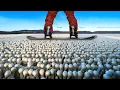 I Travelled 10 000 Miles to Ride Fake Snow