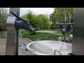 Download Lagu Relaxing day with my wife. Exploring the beautiful city Roermond and it's Nature.