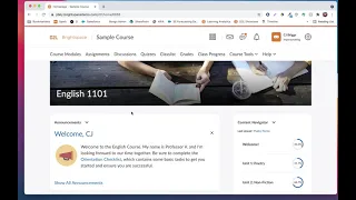 Student Experience - Brightspace