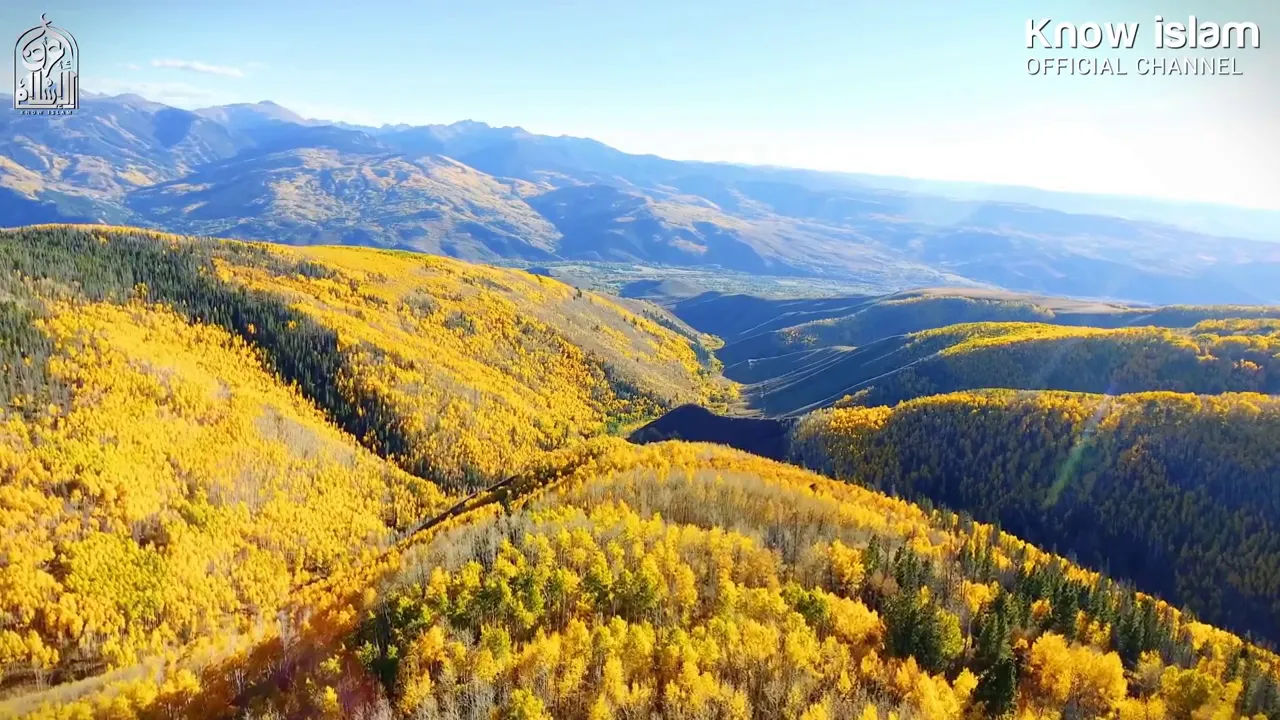 فيديو للطبيعة 4 دقائق و 39 ثانية لمونتاج الفيديو .!! #تصميم_فيديوهات_إسلامية #مونتاج_فيديو