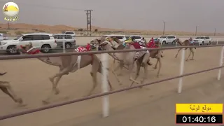 الشوط 6 منذر لـ سيف سالم الدرعي شارة الصندوق الجمعة 2019 03 22 الرقيعات فطامين 