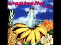 GAL COSTA - divino maravilhoso