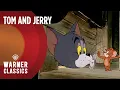 Lagu Tom and Jerry | Mega Episode: Golden Era Vol. 4 | Warner Classics