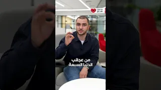 ما هو سر الجنائن المعلقة الجنائن المعلقة بابل العراق زراعة Shorts 