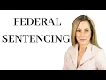 The Federal Sentencing Guidelines are just the Starting Point for Sentencing