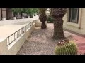 IMG 6590