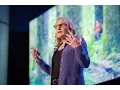 Trees and their genetic blueprints Sally Aitken