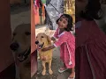 Download Lagu “When Manu met Leo 🐾, she couldn’t stop thinking of Lasu… ❤️ Some bonds always stays, #furryfriend