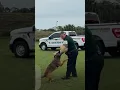 Brevard County Sheriff s Office Bite Challenge