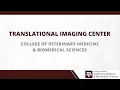 Translational Imaging Center
