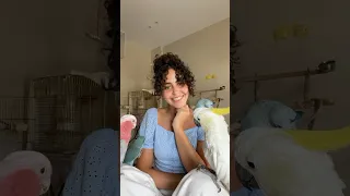 مين دة اللى نسيك   سارة هيثم و موسيقى بيشوى صفوت                     دندنها