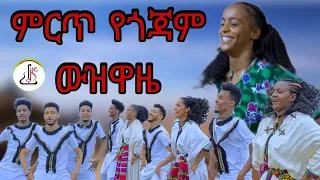 አዲስ ምርጥ የጎጃም ጭፈራ New Ethiopian Best Goajm Dance 2024 Official Video 