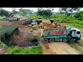 Download Lagu Wow Exciting Process Operator SKILL Use Dozer Shantui Trimming Slope \u0026 Cutting Soil Fill Heavy Pond